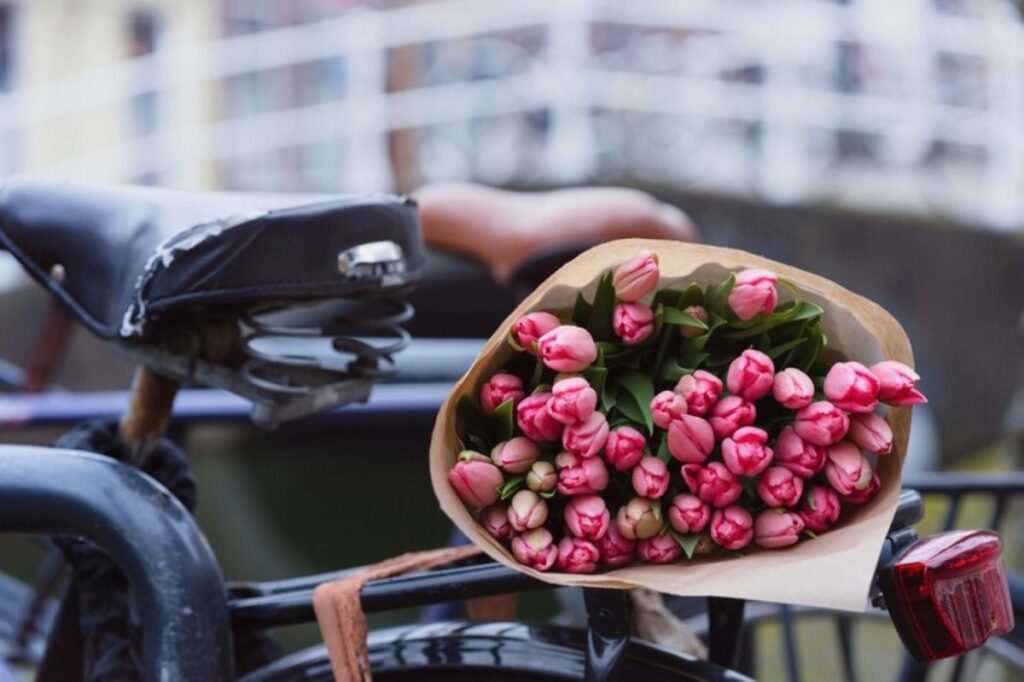 Florist North Sydney